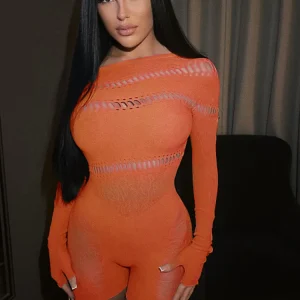 Lace Mesh Hollow Out Dress Sexy Clubwear Stretch