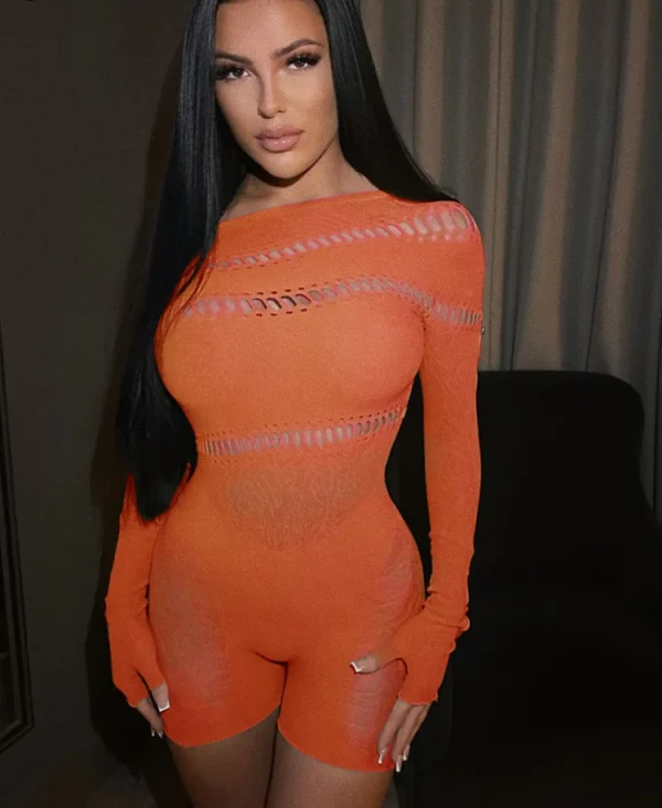 Lace Mesh Hollow Out Dress Sexy Clubwear Stretch