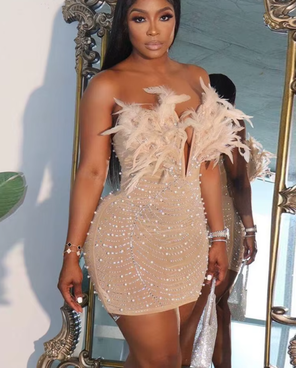 Znaiml Sexy Feathers Rhinestones Backless Diamond Sheer Mesh Bodycon Dresses for Woman Rave Club Birthday Party Night Vestidos