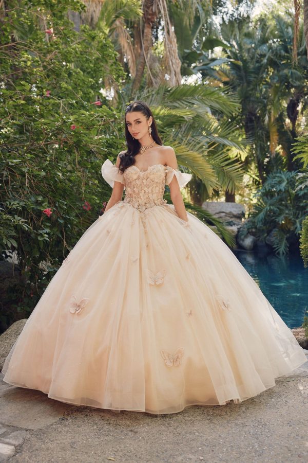 Off Shoulder Embroidered Lace Bodice Long Quinceanera Dress JTJT1448J - Image 6