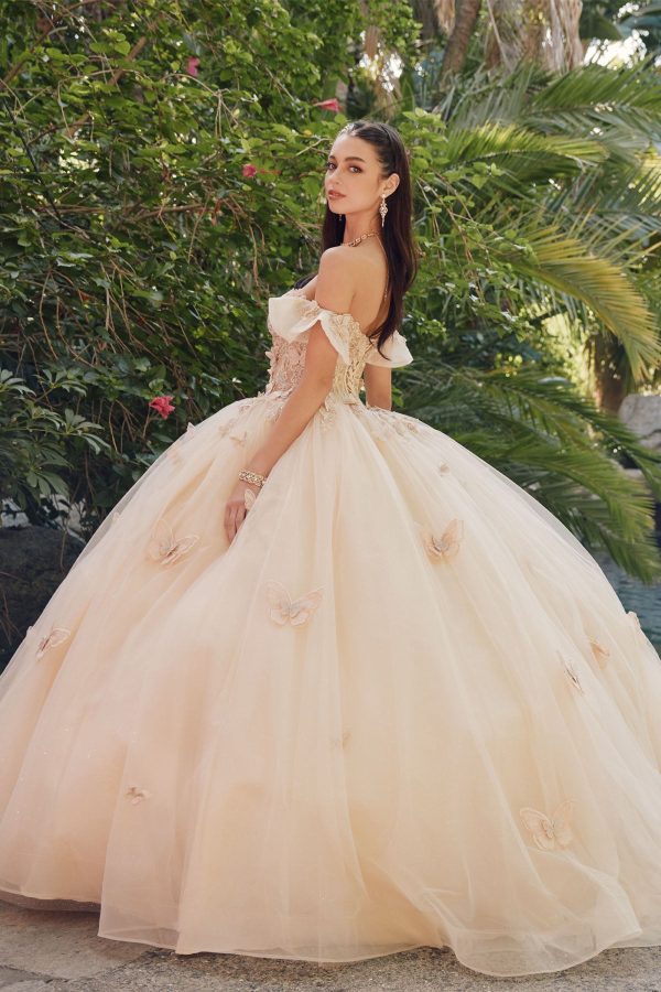 Off Shoulder Embroidered Lace Bodice Long Quinceanera Dress JTJT1448J - Image 4
