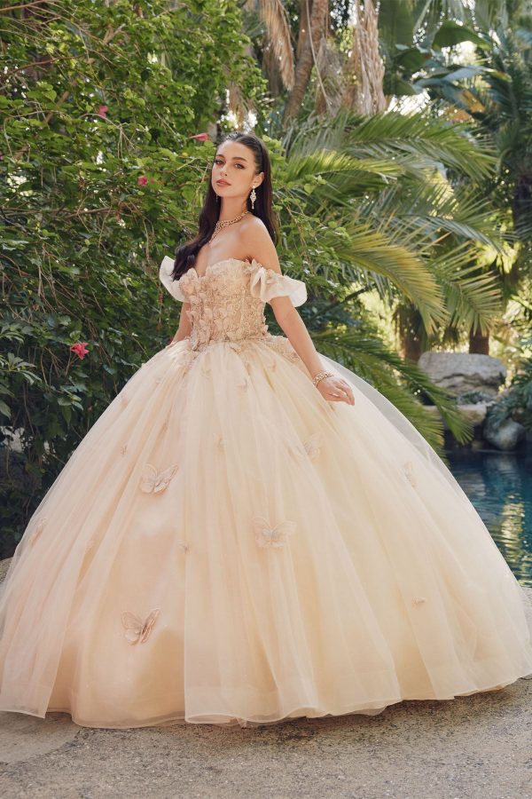 Off Shoulder Embroidered Lace Bodice Long Quinceanera Dress JTJT1448J - Image 5