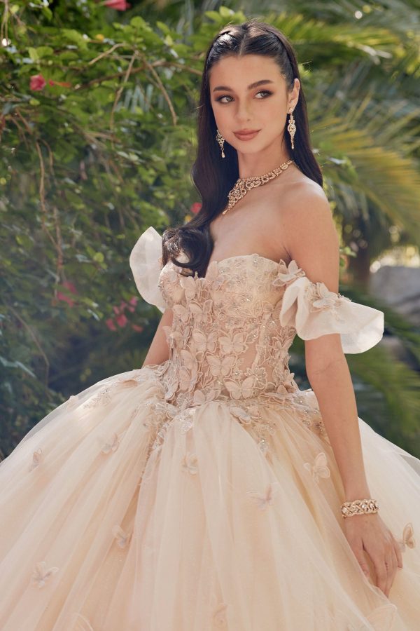 Off Shoulder Embroidered Lace Bodice Long Quinceanera Dress JTJT1448J