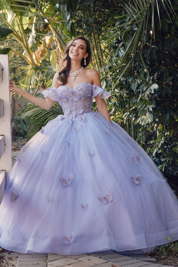 Off Shoulder Embroidered Lace Bodice Long Quinceanera Dress JTJT1448J - Image 15