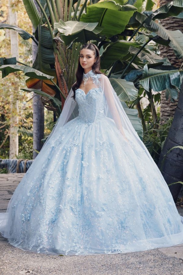 Sweetheart Tulle Embroidered Lace Long Quinceanera Dress JTJT1449J - Image 6