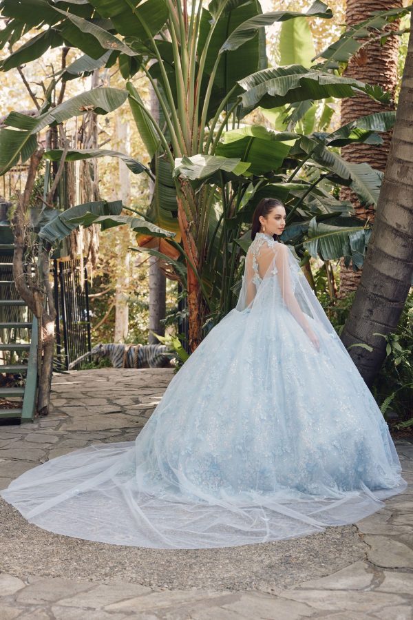 Sweetheart Tulle Embroidered Lace Long Quinceanera Dress JTJT1449J - Image 4
