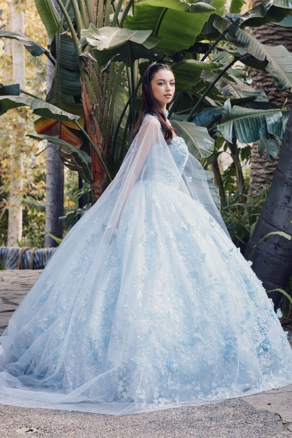 Sweetheart Tulle Embroidered Lace Long Quinceanera Dress JTJT1449J - Image 5