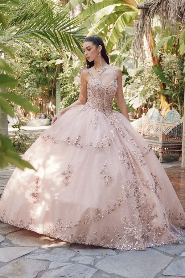 Embroidered Lace Bodice Sweetheart Long Quinceanera Dress JTJT1450J - Image 6