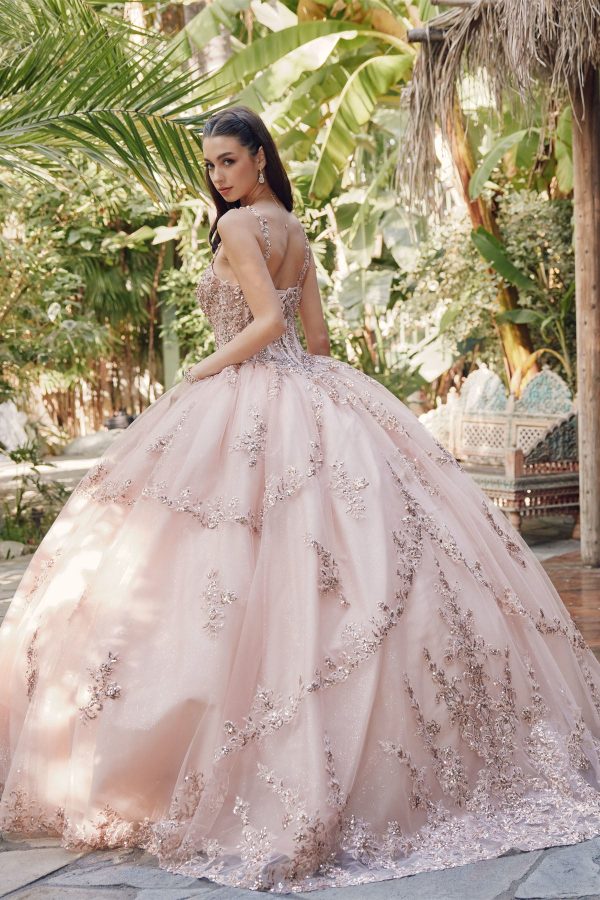 Embroidered Lace Bodice Sweetheart Long Quinceanera Dress JTJT1450J - Image 2