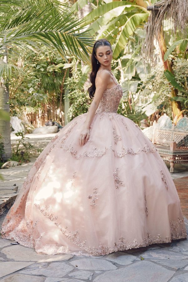 Embroidered Lace Bodice Sweetheart Long Quinceanera Dress JTJT1450J - Image 3