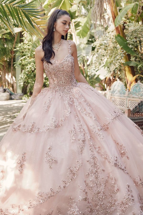 Embroidered Lace Bodice Sweetheart Long Quinceanera Dress JTJT1450J - Image 4