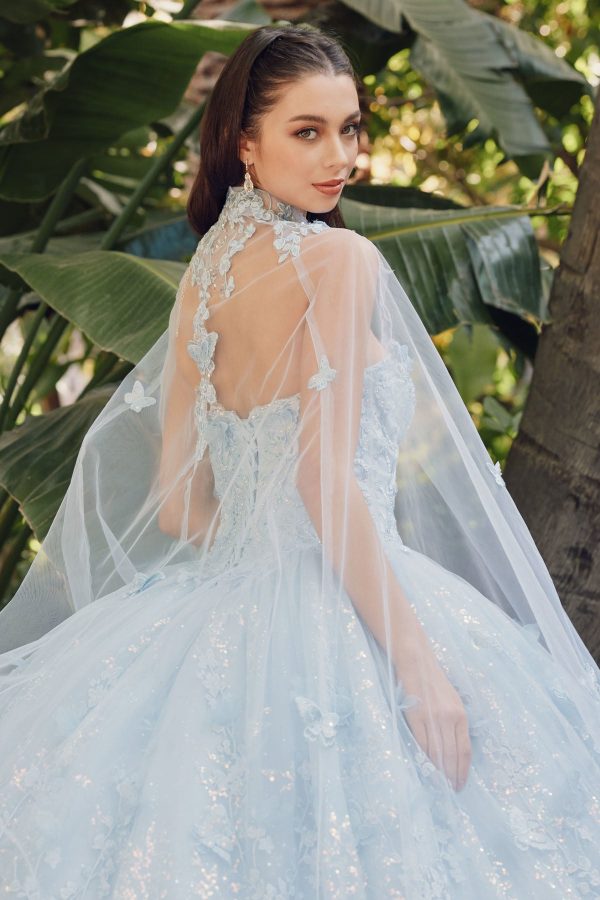 Sweetheart Tulle Embroidered Lace Long Quinceanera Dress JTJT1449J - Image 2