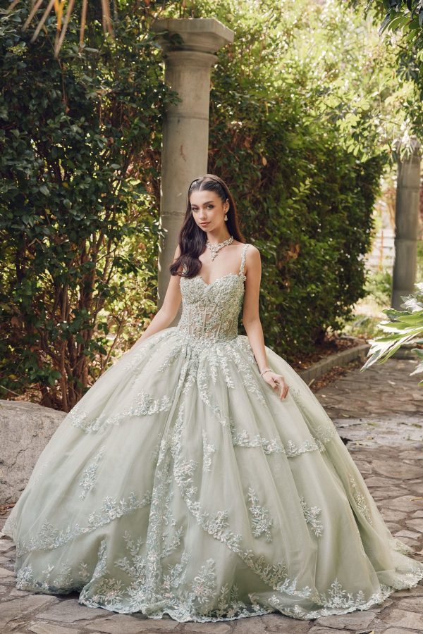 Embroidered Lace Bodice Sweetheart Long Quinceanera Dress JTJT1450J - Image 14