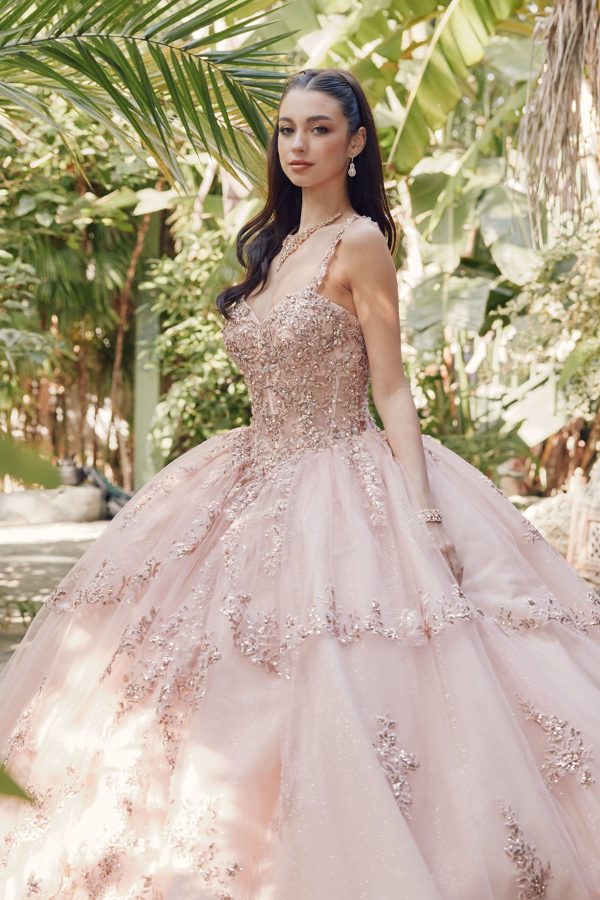 Embroidered Lace Bodice Sweetheart Long Quinceanera Dress JTJT1450J - Image 5