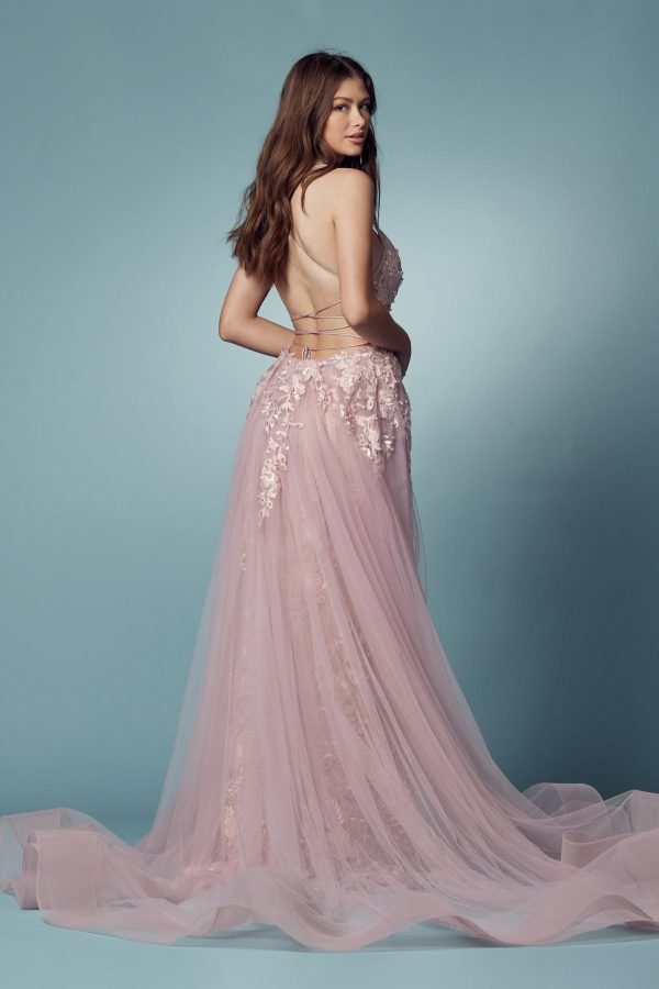 Embroidered Lace Illusion V-Neck Tulle Skirt Long Prom Dress NXF485 - Image 3