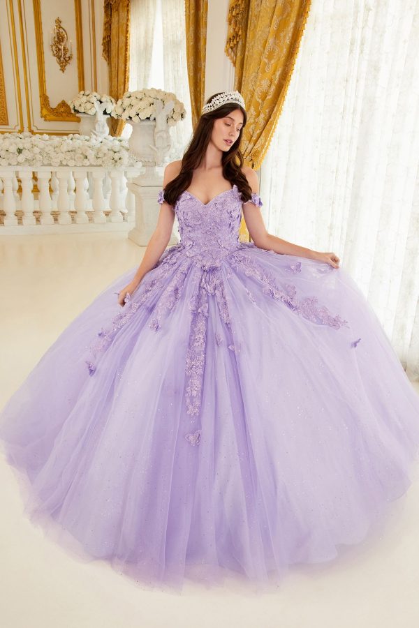 Embroidered Lace Applique Layered Tulle Long Ball Dress CD15709 - Image 3
