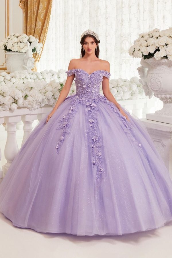 Off Shoulder 3D Floral Applique Bodice Quinceanera Long Ball Dress CD15717 - Image 10