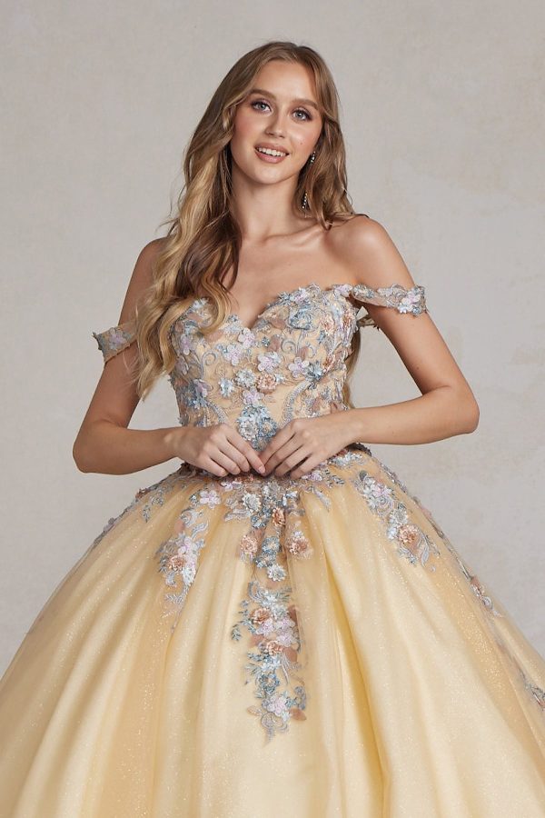 Off Shoulder Embroidered Lace Bodice Long Quinceanera Dress NXJU809 - Image 2