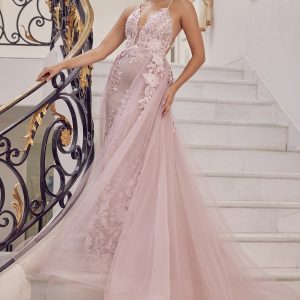 Embroidered Lace Illusion V-Neck Tulle Skirt Long Prom Dress NXF485