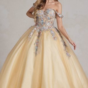 Off Shoulder Embroidered Lace Bodice Long Quinceanera Dress NXJU809