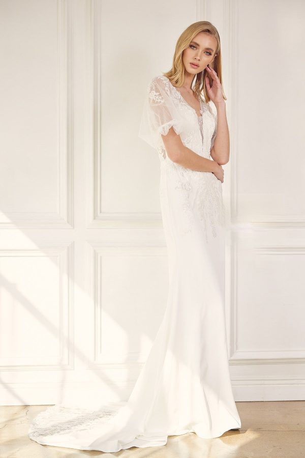 Embroidered Lace Sheer Back Tail Long Wedding Dress NXJE927 - Image 3