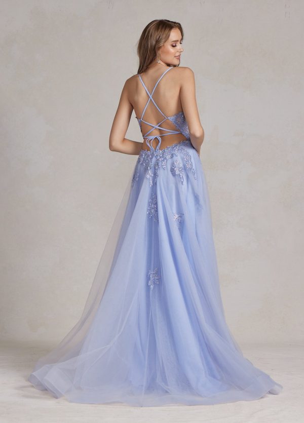 A-Line Tulle Skirt Embroidered Lace Long Prom Dress NXG1149 - Image 3