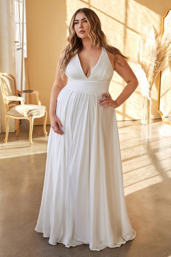 Plus Size A-Line Curvy Fitted Bodice V-Neck Long Wedding Dress CD7469WW - Image 5