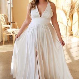 Plus Size A-Line Curvy Fitted Bodice V-Neck Long Wedding Dress CD7469WW