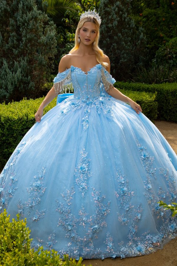 Chandelier beading accented floral embroidered glitter mesh quinceanera dress with back bows GLGL3525