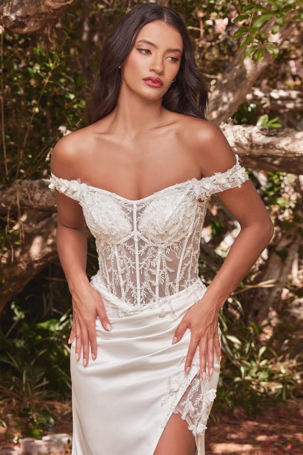 Off The Shoulder Lace Corset Bodice Fitted Mermaid Long Bridal & Wedding Dress CDCD0186W