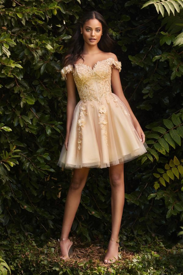 Lace A-line off the shoulder Embroidered Bodice Short Cocktail & Homecoming Dress CDCD0194 - Image 19