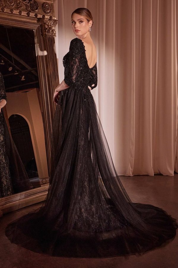 LONE SLEEVE LACE FITTED DRESS & OVERSKIRT - Image 4