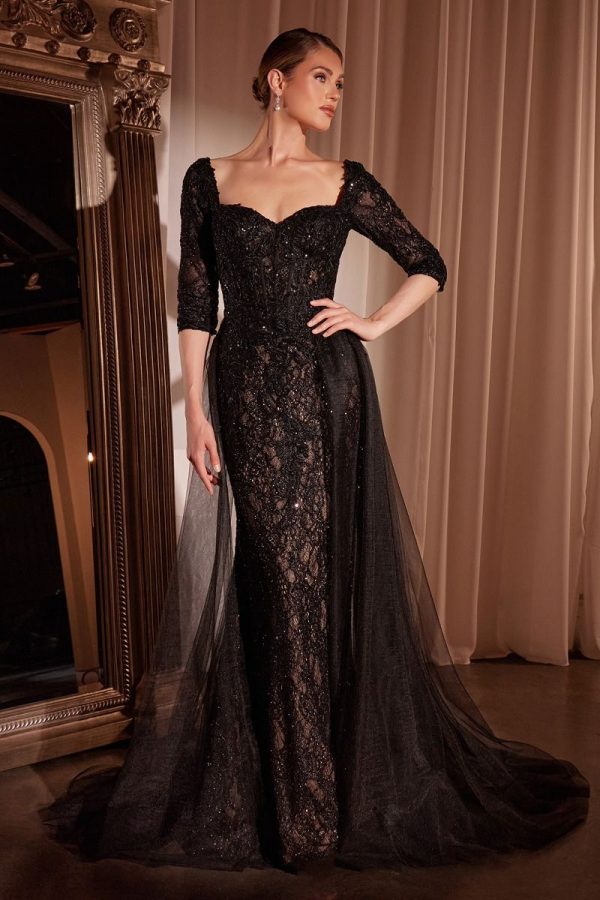 LONE SLEEVE LACE FITTED DRESS & OVERSKIRT - Image 5