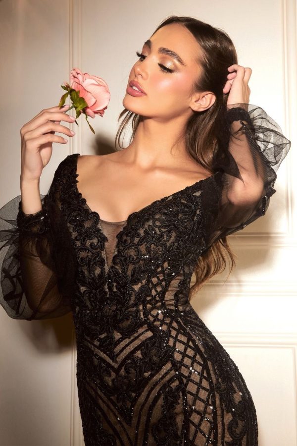 Long Sleeves Mermaid Embellished Beads Illusion V-Neck Long Prom Dress CDCD864 - Image 5