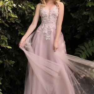 Floral A-line Embroidered Deep V Neck Open Back Cut Layered Plus Size Long Prom Dress CDCDS409C
