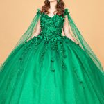 3D Floral Applique Glitter Mesh Detachable Cape Sleeve Long Quinceanera Dress GLGL1974