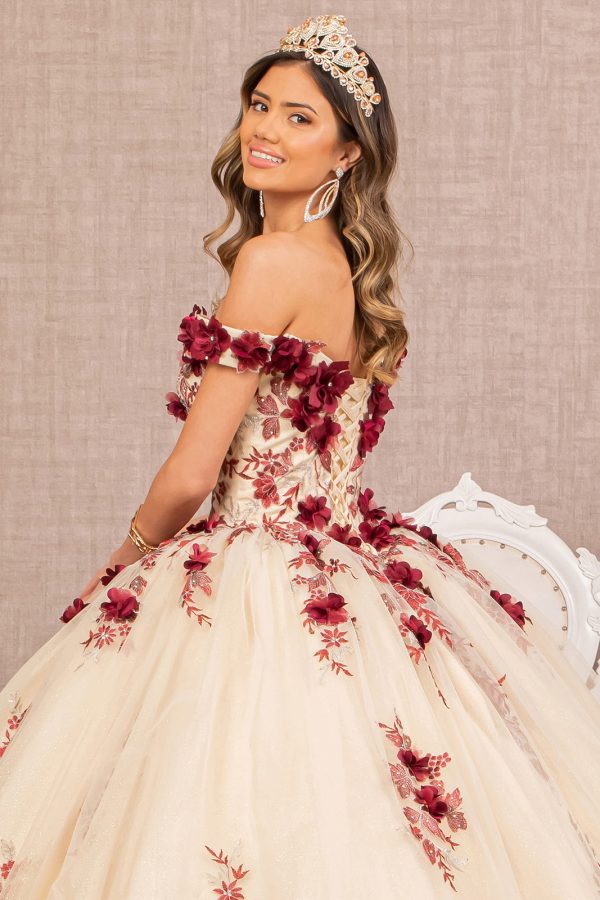 3D Flower Embroidery Off Shoulder Mesh Quinceanera Dress GLGL3105 - Image 5
