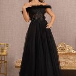 Embroidery Sheer Front Mesh A-line w/ Feather Embellishment Long Prom Dress  GLGL3138