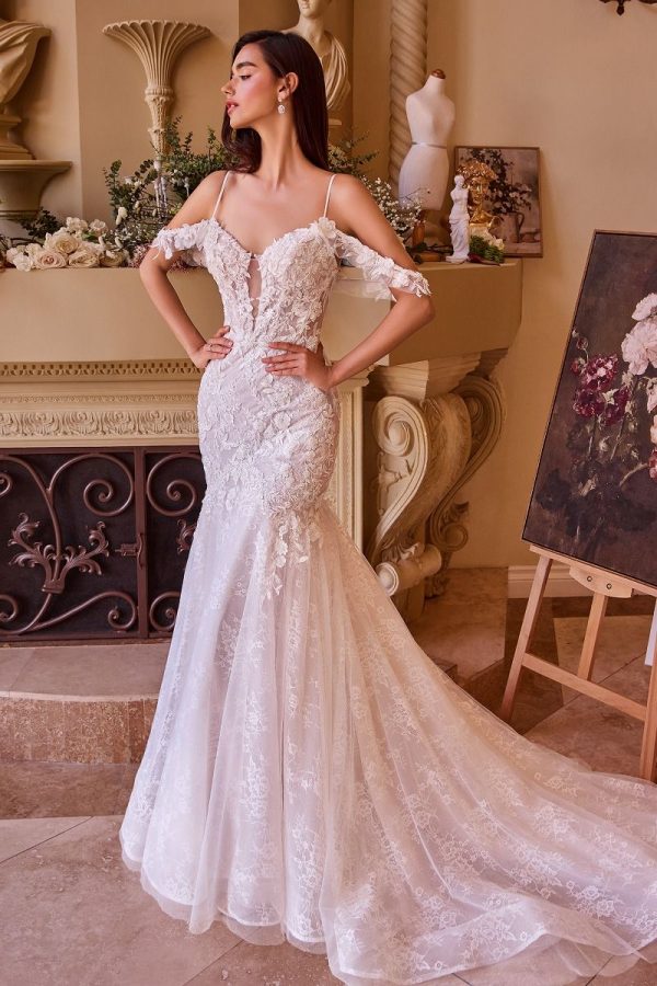 FITTED LACE MERMAID WEDDING DRESS CDWL051 - Image 4