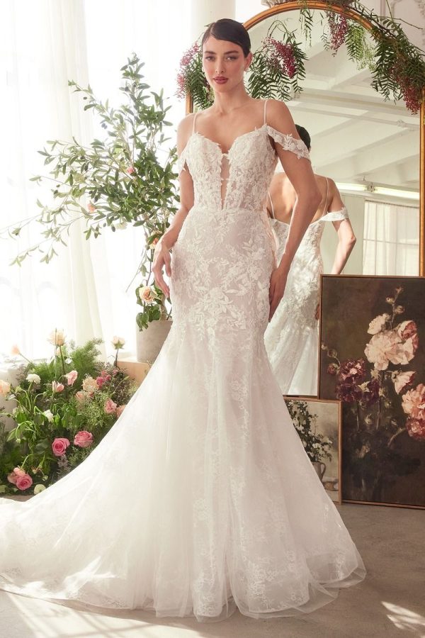 FITTED LACE MERMAID WEDDING DRESS CDWL051 - Image 12