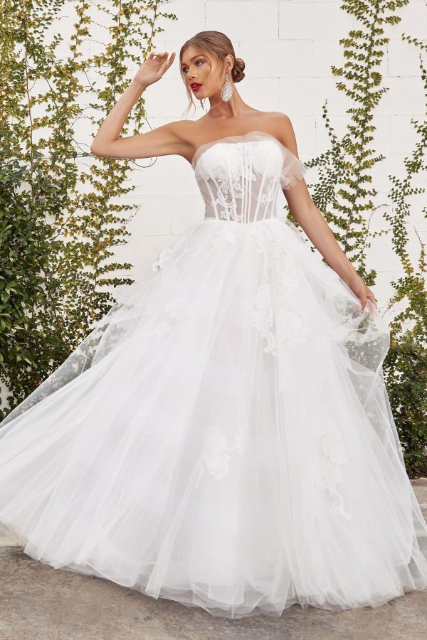 Strapless Silhouette with a Corset - Image 4