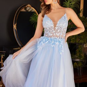 Layered Tulle A-Line Floral Vintage Sheer V-neck Spaghetti Strap Long Prom Dress CDCD2214
