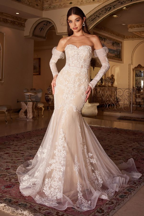 Lace Mermaid Bridal Gown With Removable Sleeves - Image 12