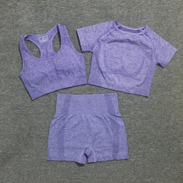 Seamless Yoga Set: Must-Have, Quick-Dry Women’s Activewear - Image 9