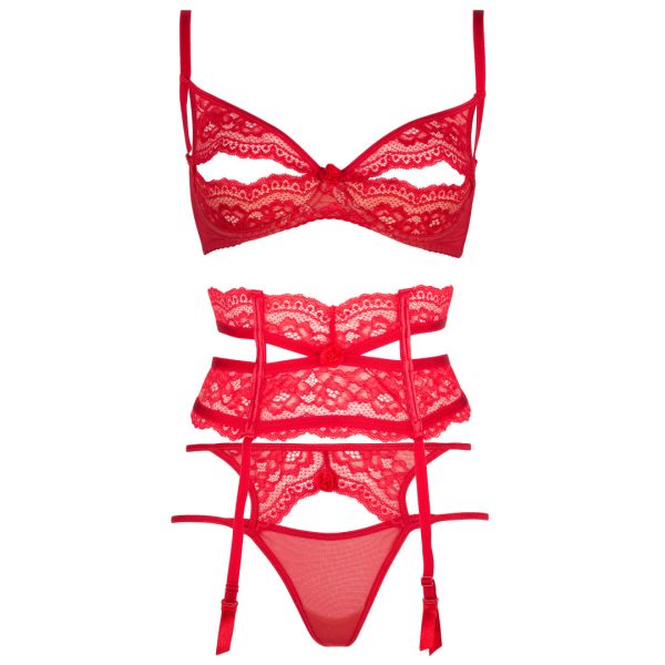Sexy bra Intense: Red Lace Peek‑A‑Boo Openwork Bra - Image 4