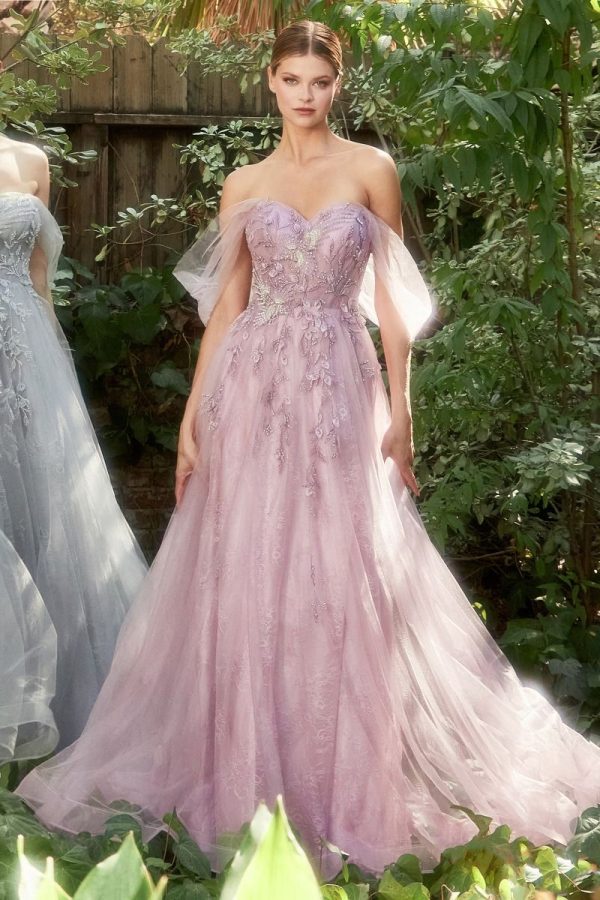 Off the Shoulder Lace Gown with Bead‑Embellished A‑Line Skirt