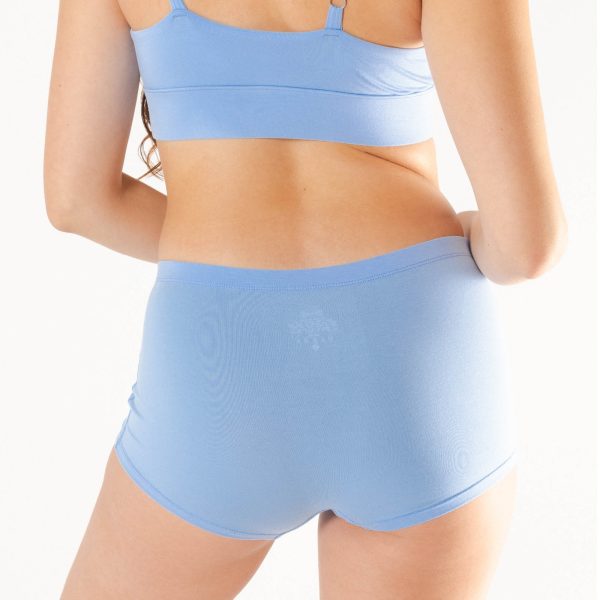 The Clear Skies | Sky Blue Modal Boyshort Underwear - Image 4