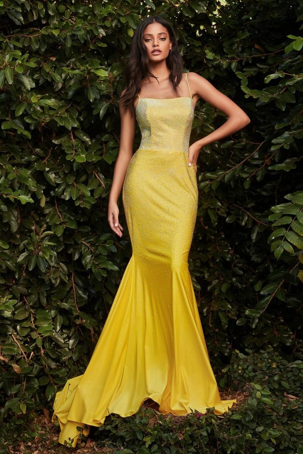 Stone Embellished Satin: Ombré Stone Gradient Prom Dress