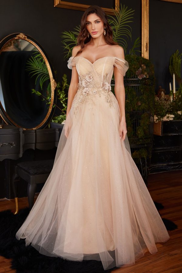 Off the Shoulder: Layered Tulle Dress with Lace Detailing