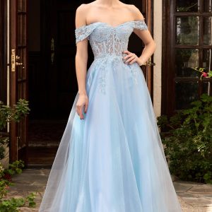 Off the Shoulder Lace Dress: Layered Tulle, Corseted Fit
